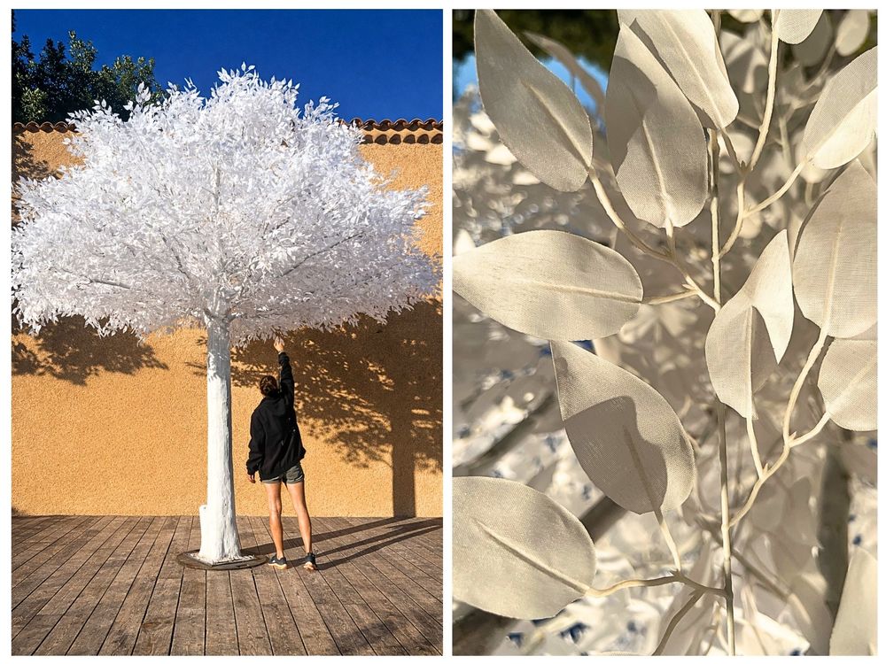 FICUS BLANC ARTIFICIEL 4,50 M ? D�STOCKAGE 1490 Saint-Maximin-la-Sainte-Baume (83)