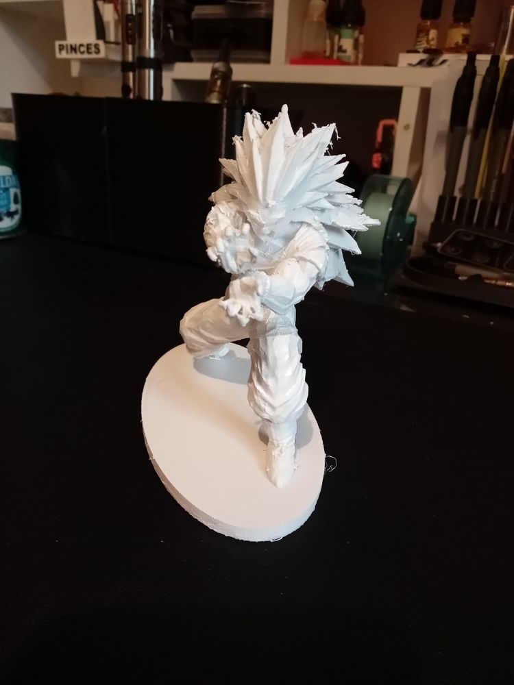 Figurine 10cm � peindre Dragon Ball Z 15 Saintes-Maries-de-la-Mer (13)