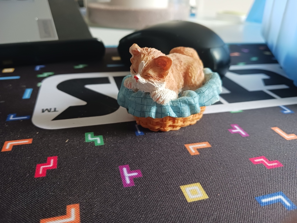 Figurine de Chat D�corative en Panier 1 Thourotte (60)