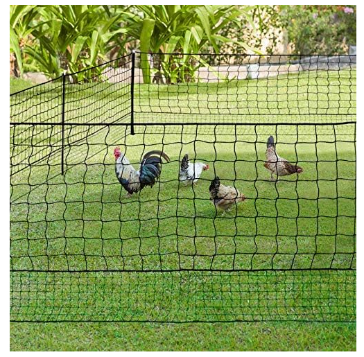 filet de cloture poule 55 Piolenc (84)