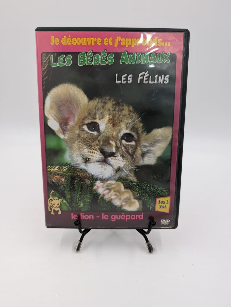 Film DVD Les B�b�s Animaux : Les F�lins en boite 4 Vulbens (74)