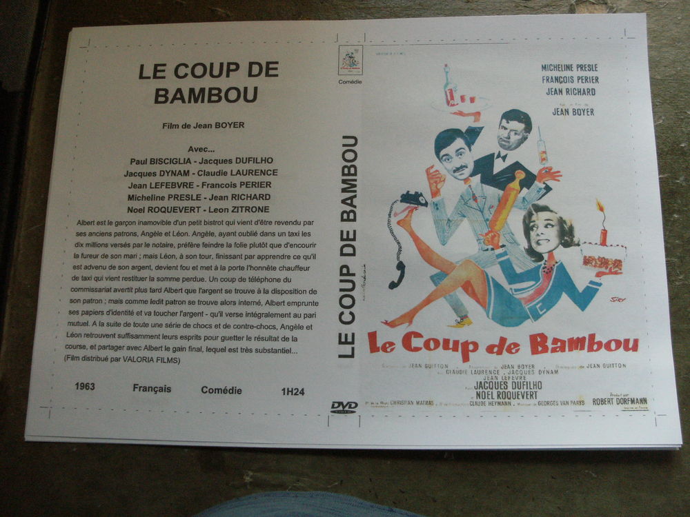 Film :   Le coup de bambou   40 Saint-Médard-en-Jalles (33)