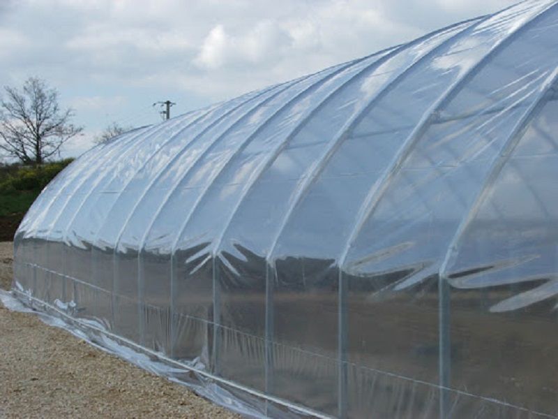 FILM SERRE 120 M2 tr�s �pais dispo en 3m FABRICATION  FRANCAISE 200 microns 100 Lens (62)