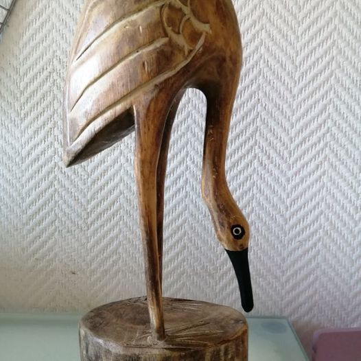 FLAMAND ROSE pas rose ! 10 Lanne (65)