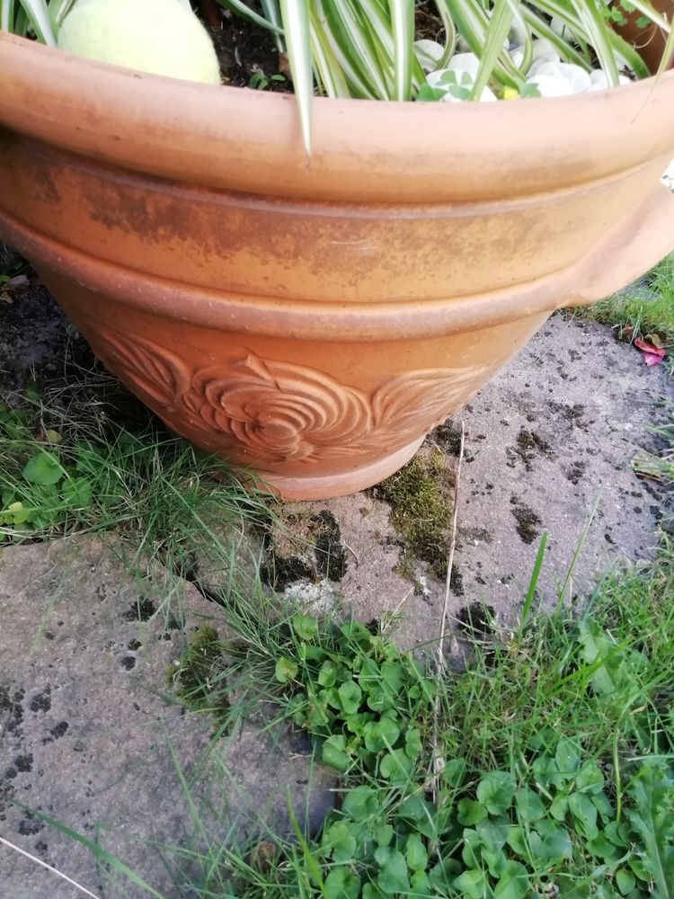 pot de fleur en terre cuite 50 Golbey (88)