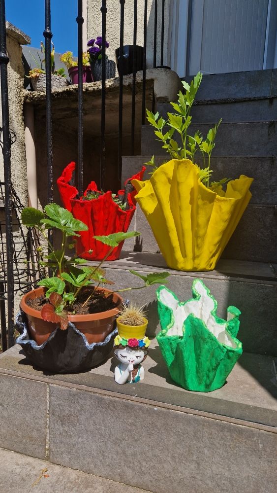 pot fleur 10 Les Pavillons-sous-Bois (93)