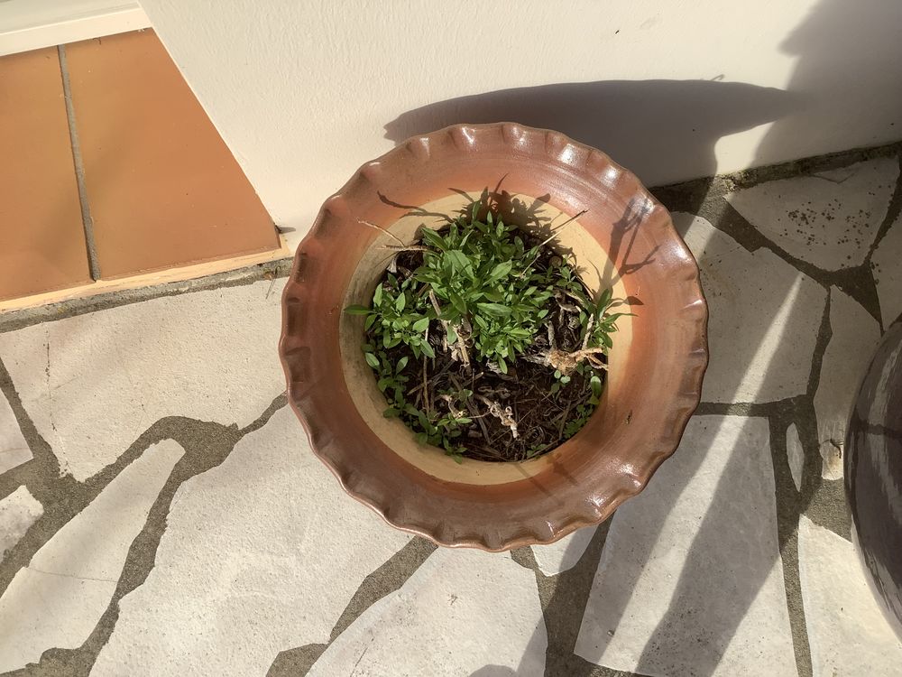 Pot fleur 35 Saint-Hilaire-de-Riez (85)