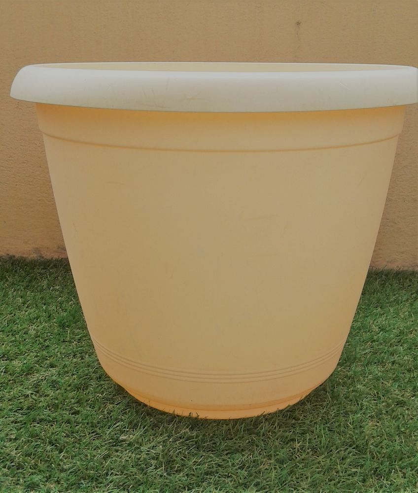 Pot de fleurs beige 20 Toulouse (31)