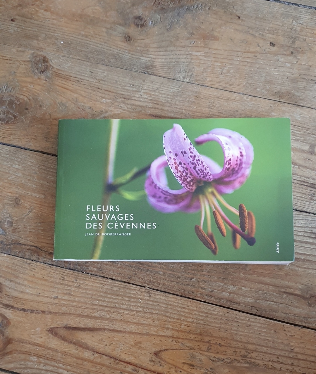 Fleurs sauvages des C�vennes 4 Monistrol-sur-Loire (43)