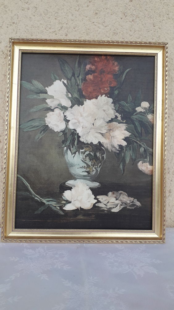 Fleurs
20 Salon-de-Provence (13)