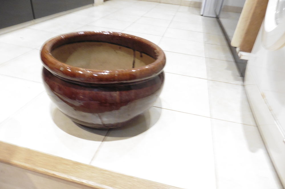 pot � fleurs 10 Saint-Georges-des-Groseillers (61)