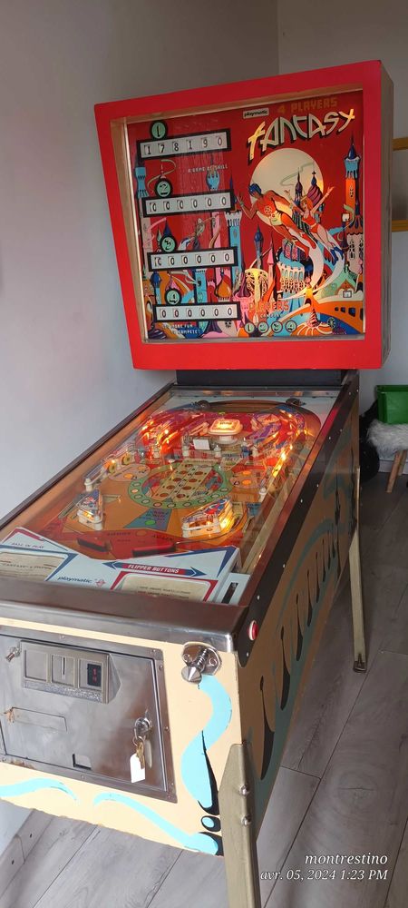 flipper 1590 Montargis (45)