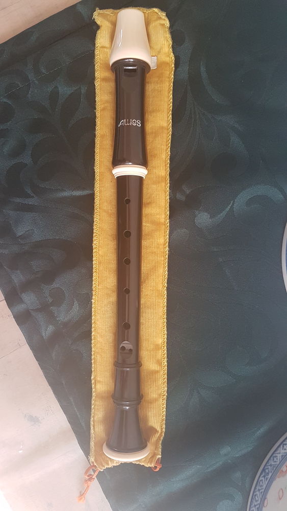 Fl�te pour coll�gien 10 Rosny-sous-Bois (93)