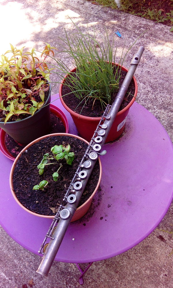 Fl�te traversi�re Yamaha YFL261S 100 Ambar�s-et-Lagrave (33)