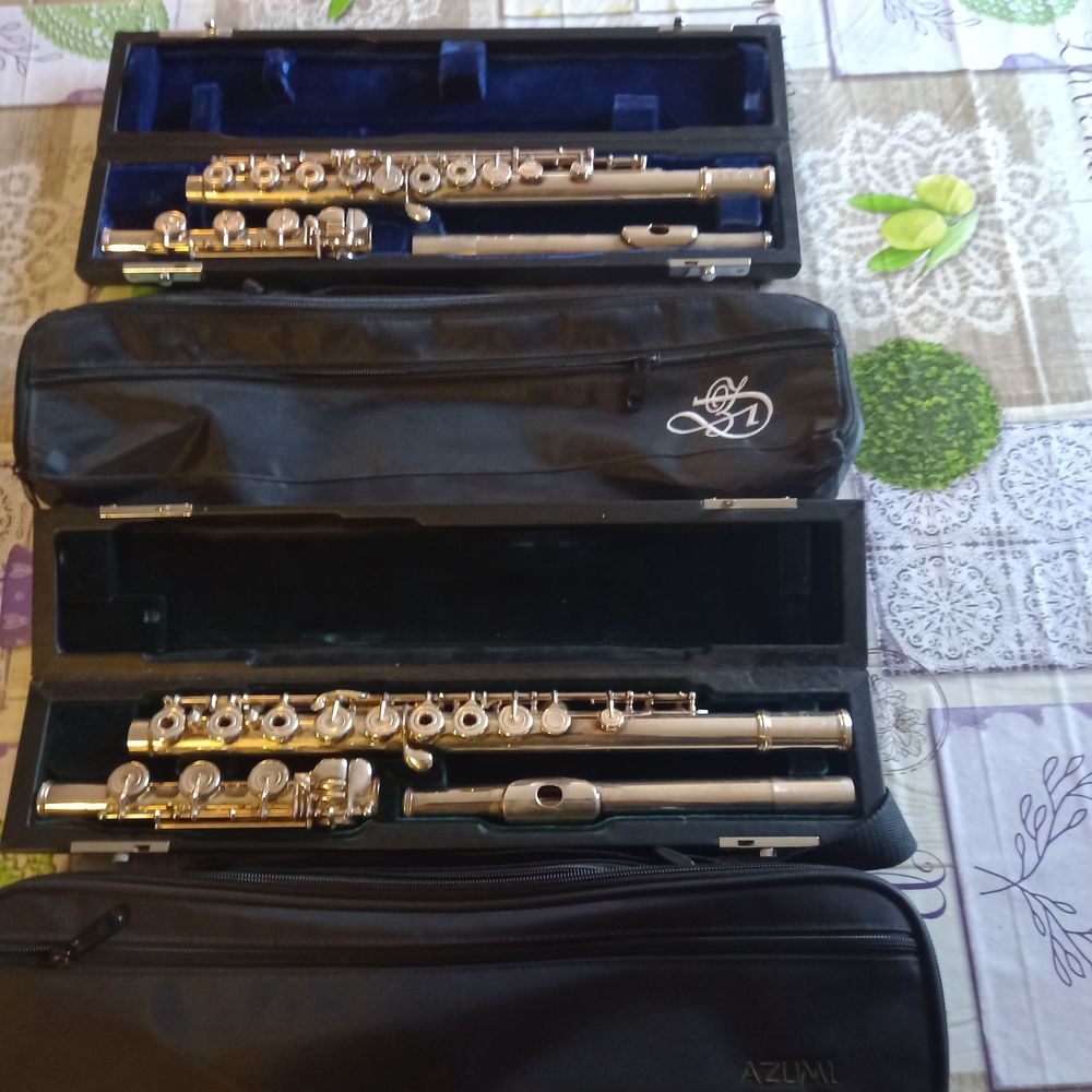 fl�te traversi�re 950 La Verdi�re (83)