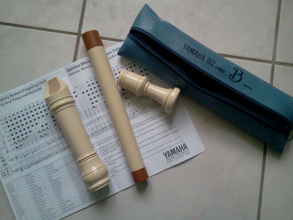 fl�te tr�s bon �tat 7 Louvern� (53)