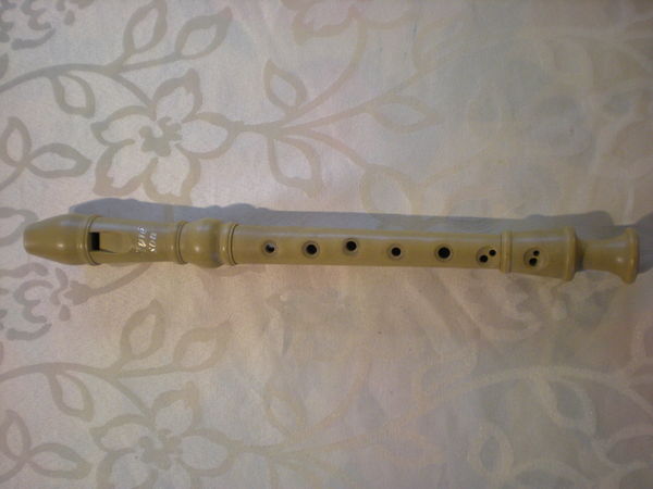 une fl�te 2 Bailleau-l'�v�que (28)