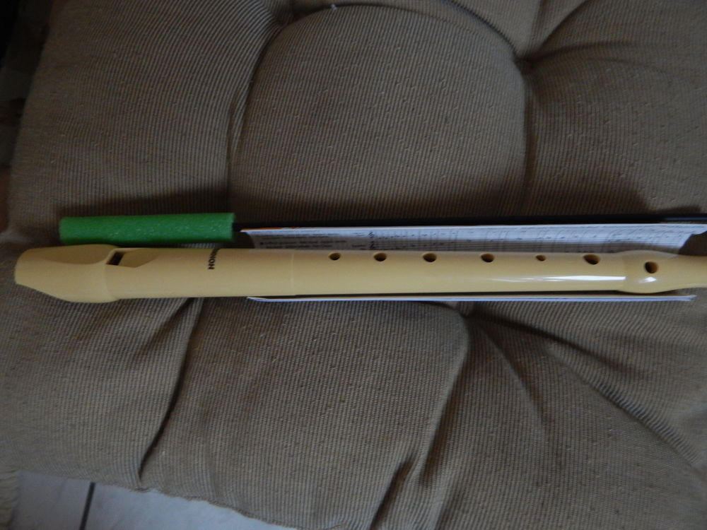 fl�te 4 Llauro (66)