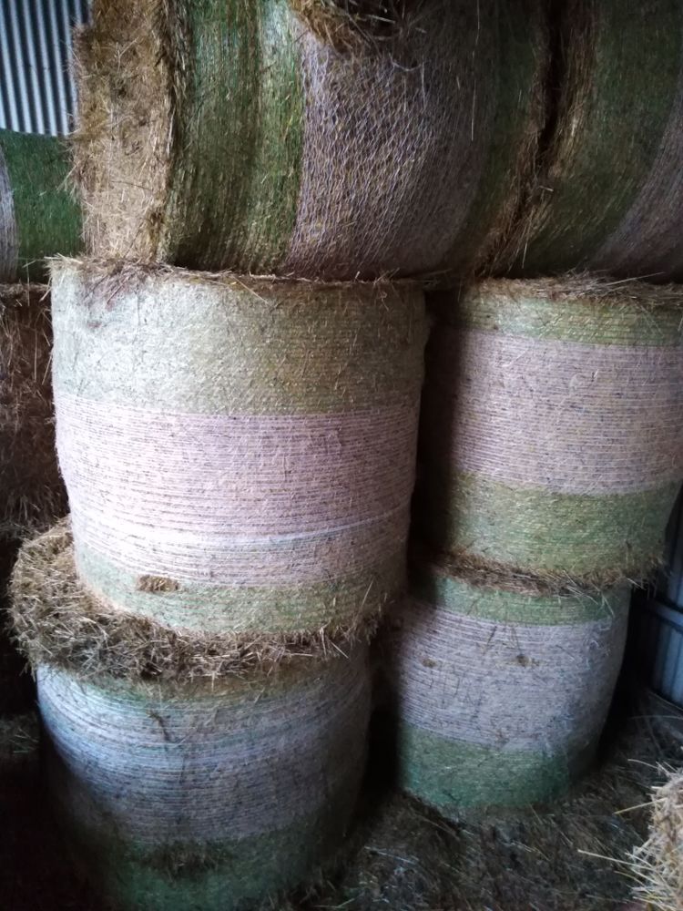 foin de prairie 2020et2021 30 La Boissi�re (14)