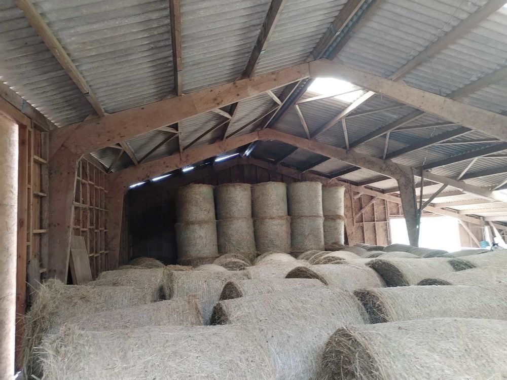 Foin de prairie bio 2024 15 Salvagnac (81)