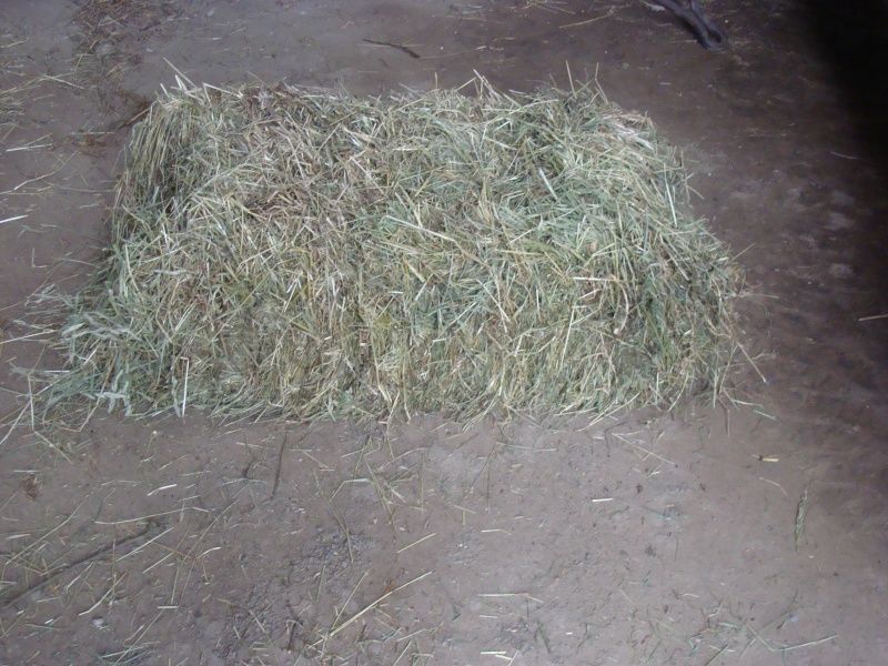 foin prtit ballots 2 Bergues (59)