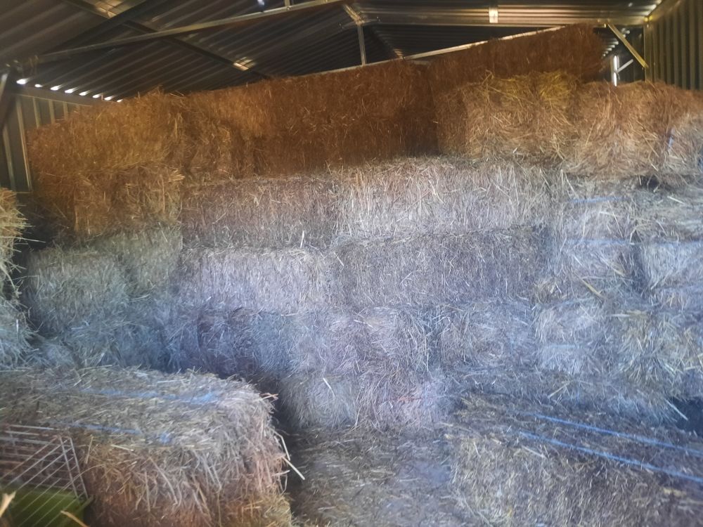 foins 7 Bize-Minervois (11)