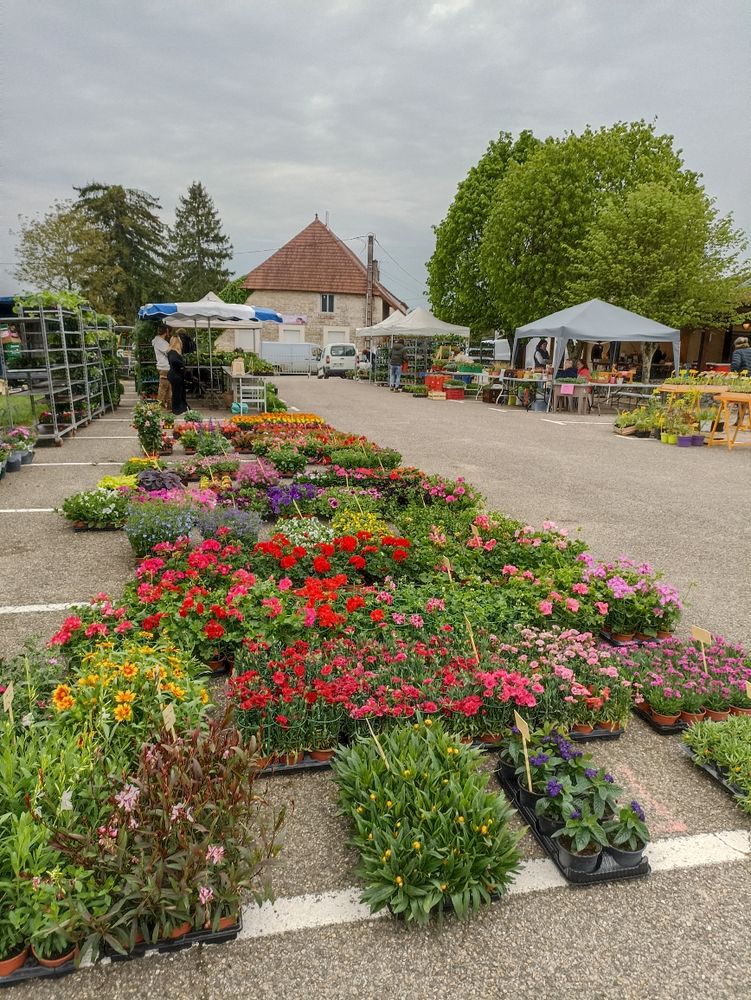 FOIRE AUX FLEURS ET LEGUMES - VIDE JARDIN 0 Le Deschaux (39)