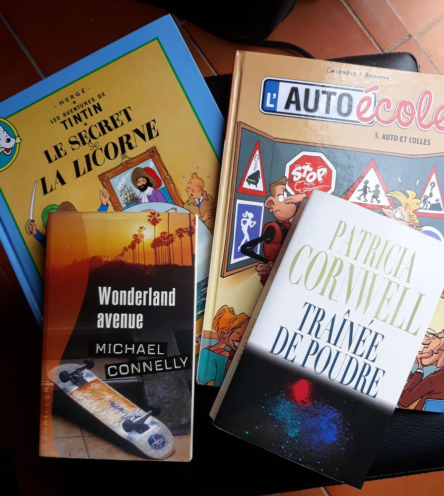 FOIRE AUX ROMANS ET BD 2 Sainte-Rose (97)