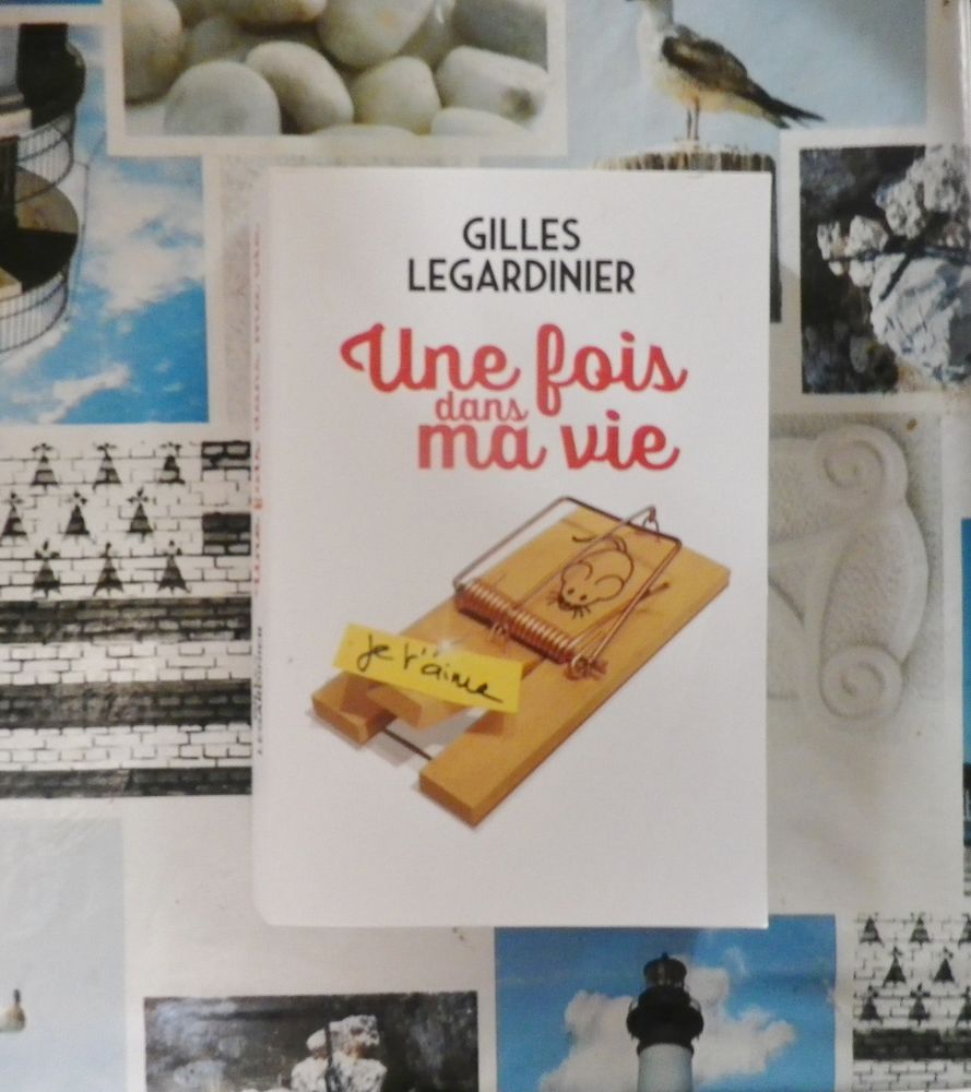 UNE FOIS DANS MA VIE de Gilles LEGARDINIER 5 Bubry (56)