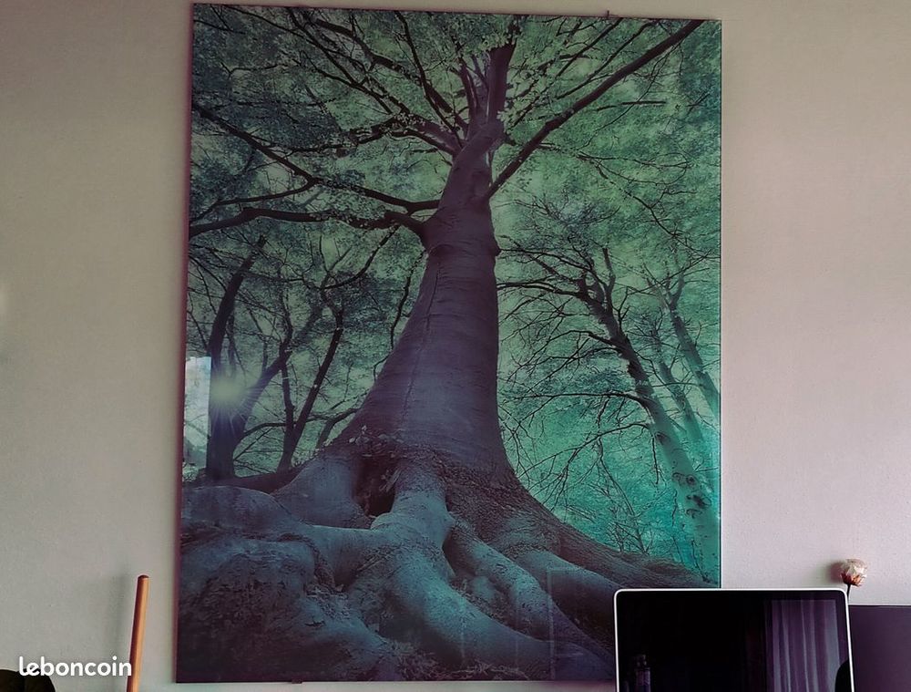 For�t Impression sur verre 80 Pau (64)