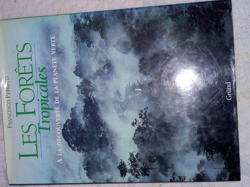 les forets tropicales 15 Pluneret (56)