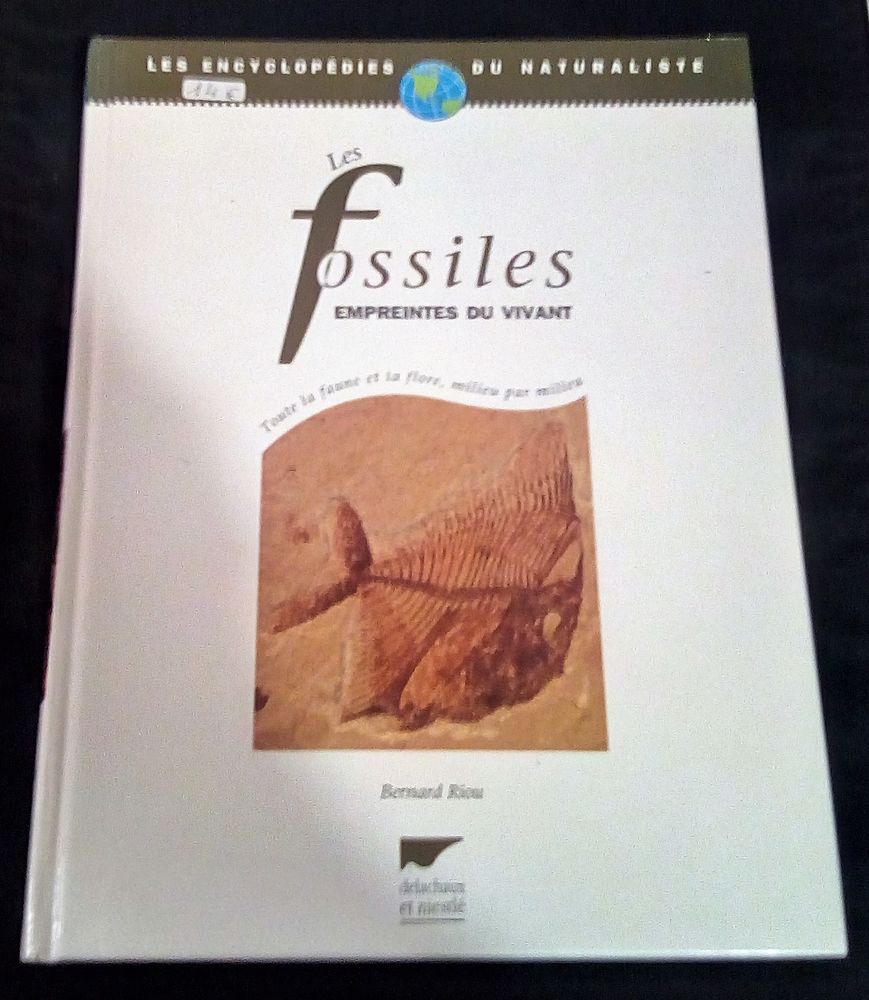 LES FOSSILES empreintes du vivant 14 Langueux (22)