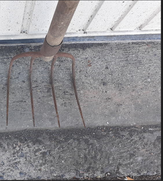 fourche courb�e 4 dents 10 Quarouble (59)