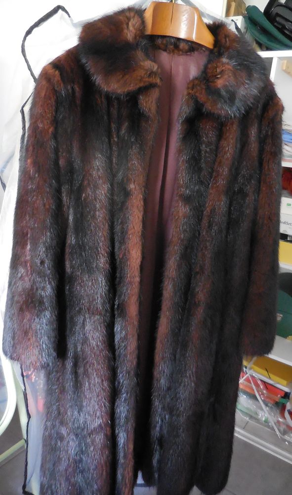 Fourrure rat d'Am�rique 0 Perpignan (66)