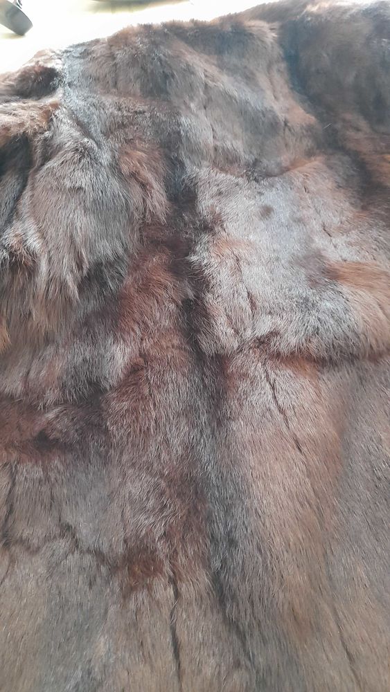 fourrure lapin 200 Roanne (42)