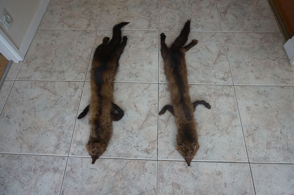 col en fourrure 50 Clamart (92)