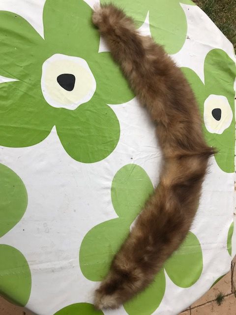 Col en fourrure 15 Mottier (38)