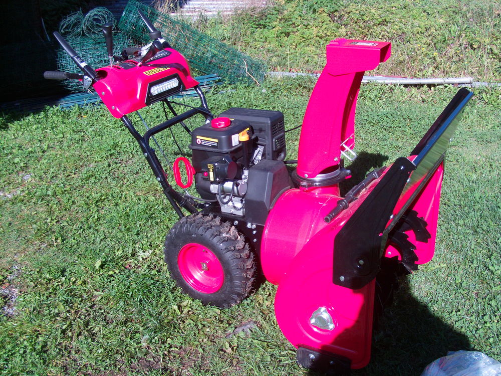 fraise a neige 0 Coux (17)