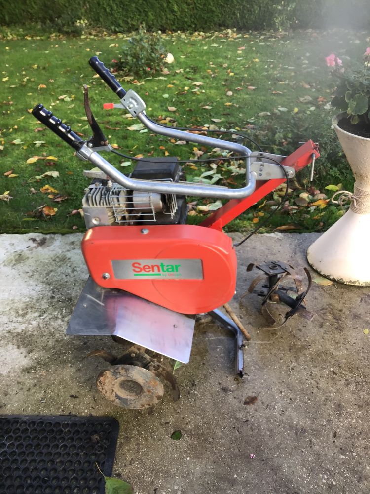 fraise 200 Moussy (51)