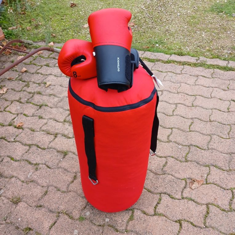 sac de frappe + gants de boxe 50 Vendeuvre-du-Poitou (86)
