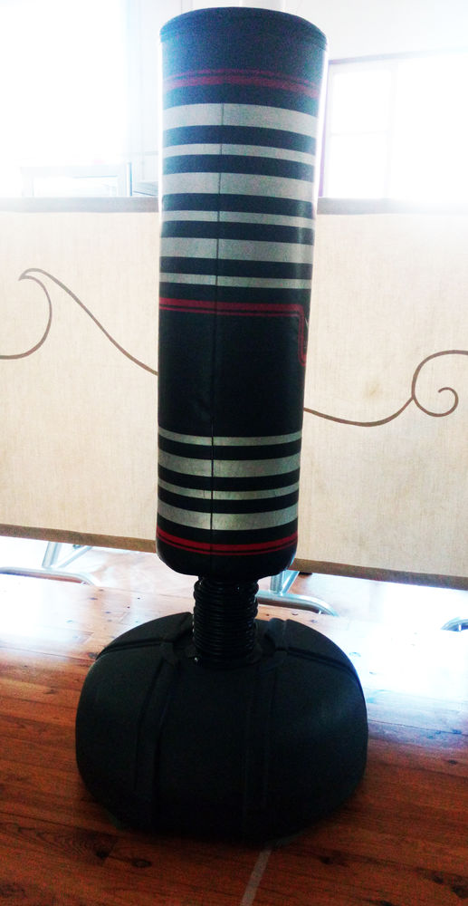 SAC DE FRAPPE SUR PIED 100 Ch�teaurenard (13)