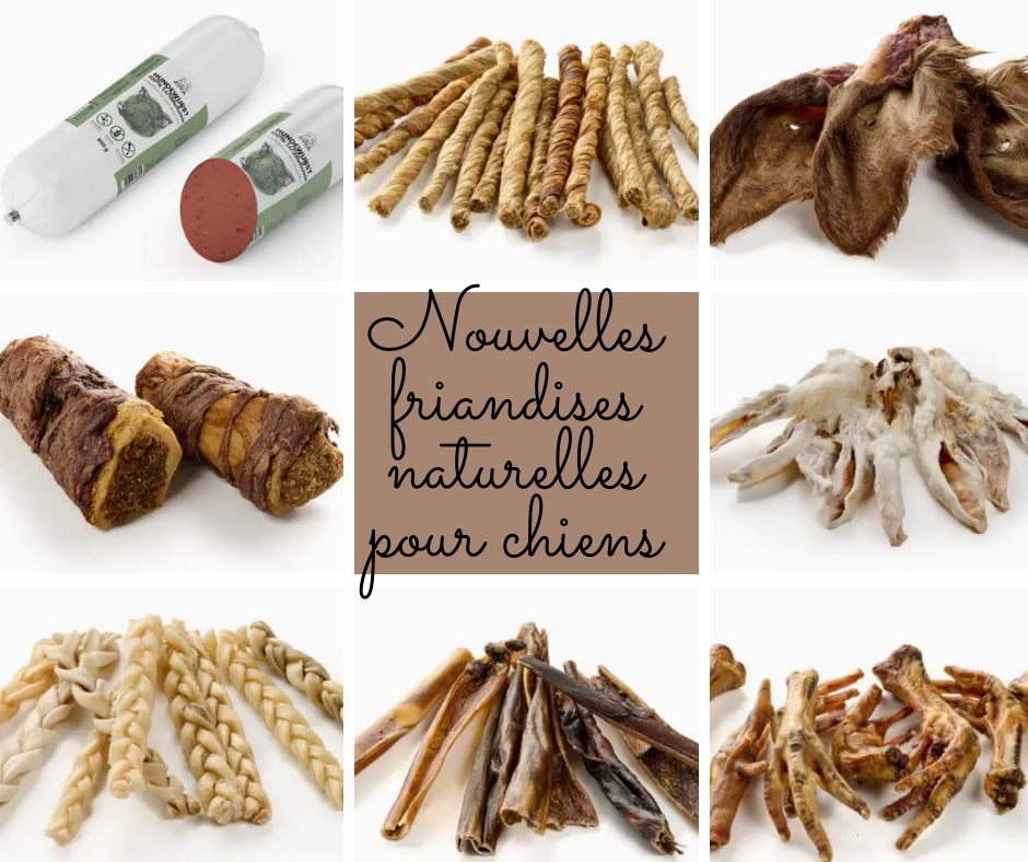 Friandises naturelles / mastication 2 N�rignac (86)