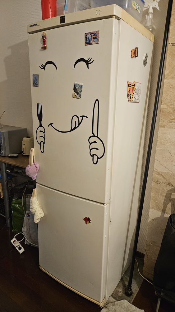 Frigo Liebherr en bon �tat 100 Strasbourg (67)