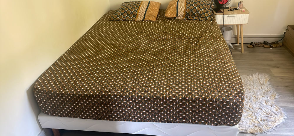 Frigo + Machine � laver + micro onde + lit 500 Sochaux (25)