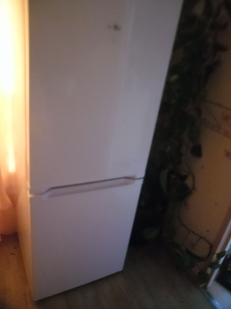 Frigo 2 portes 110 Paimb�uf (44)