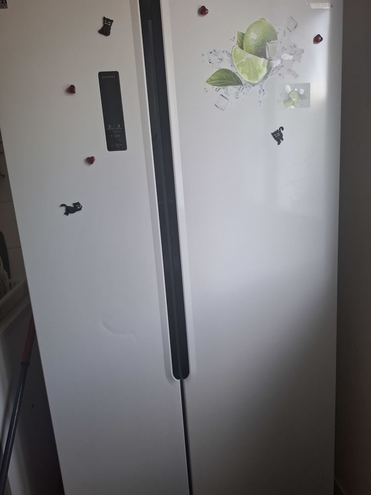 Frigo 300 Blois (41)