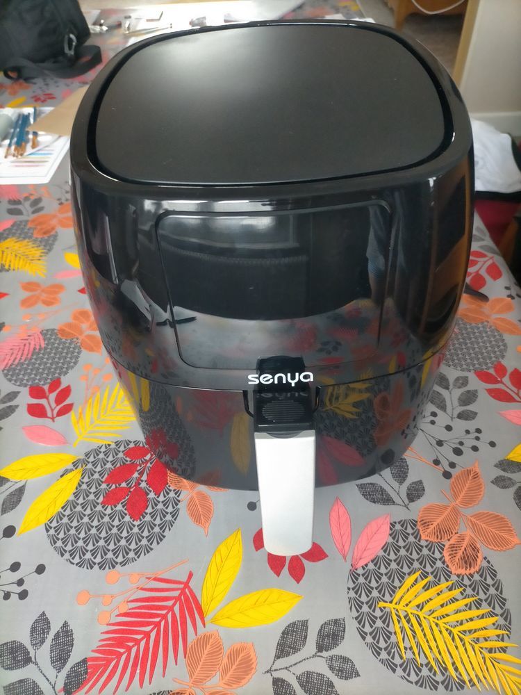 Friteuse air fryer 45 Albert (80)