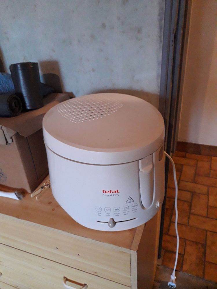 Friteuse TEFAL MAXI FRY 20 La Chapelle-Bou�xic (35)