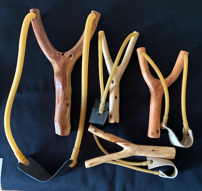 Frondes 0 Mori�res-l�s-Avignon (84)