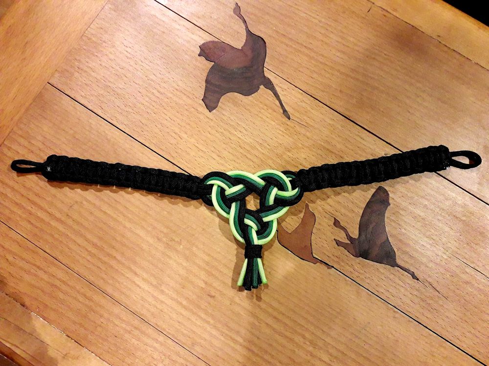 frontal cheval 18 Saulcy-sur-Meurthe (88)